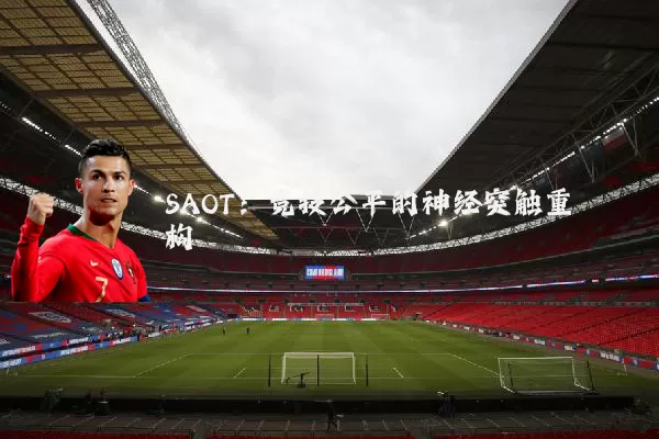 SAOT：竞技公平的神经突触重构